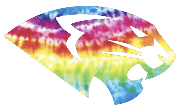 High Point Panthers Mascot Logo Crucial Catch Cancer Tie Dye Vinyl Decal PICK SIZE