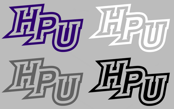 High Point Panthers Team Logo Premium DieCut Vinyl Decal PICK COLOR & SIZE