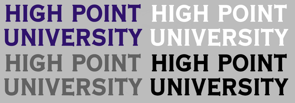 High Point Panthers Team Name Logo Premium DieCut Vinyl Decal PICK COLOR & SIZE