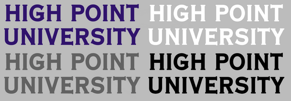 High Point Panthers Team Name Logo Premium DieCut Vinyl Decal PICK COLOR & SIZE