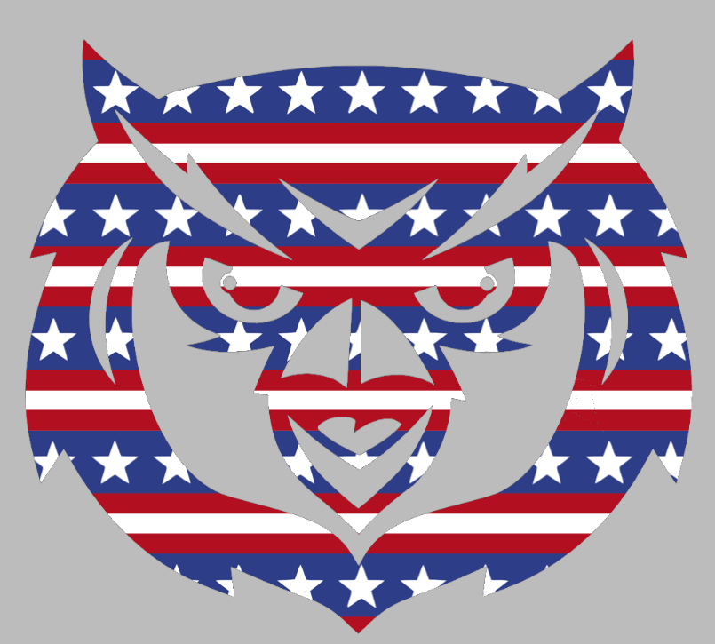 Kennesaw State Owls Mascot Logo Stars & Stripes USA American Flag Vinyl Decal PICK SIZE