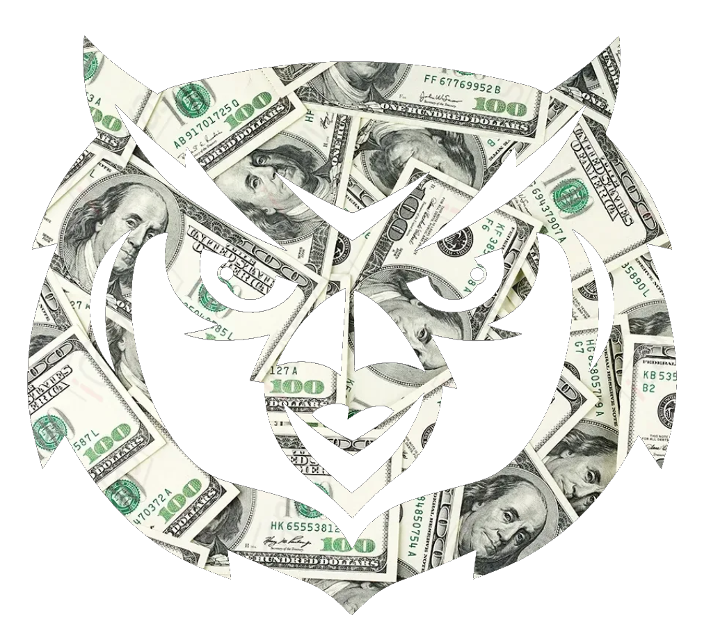 Kennesaw State Owls Mascot Logo Money Print Premium DieCut Vinyl Decal PICK SIZE