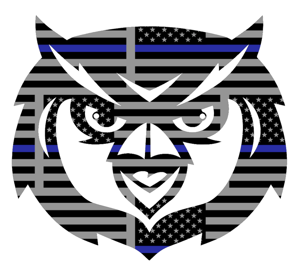 Kennesaw State Owls Mascot Logo Thin Blue Line American Flag Premium DieCut Vinyl Decal PICK SIZE