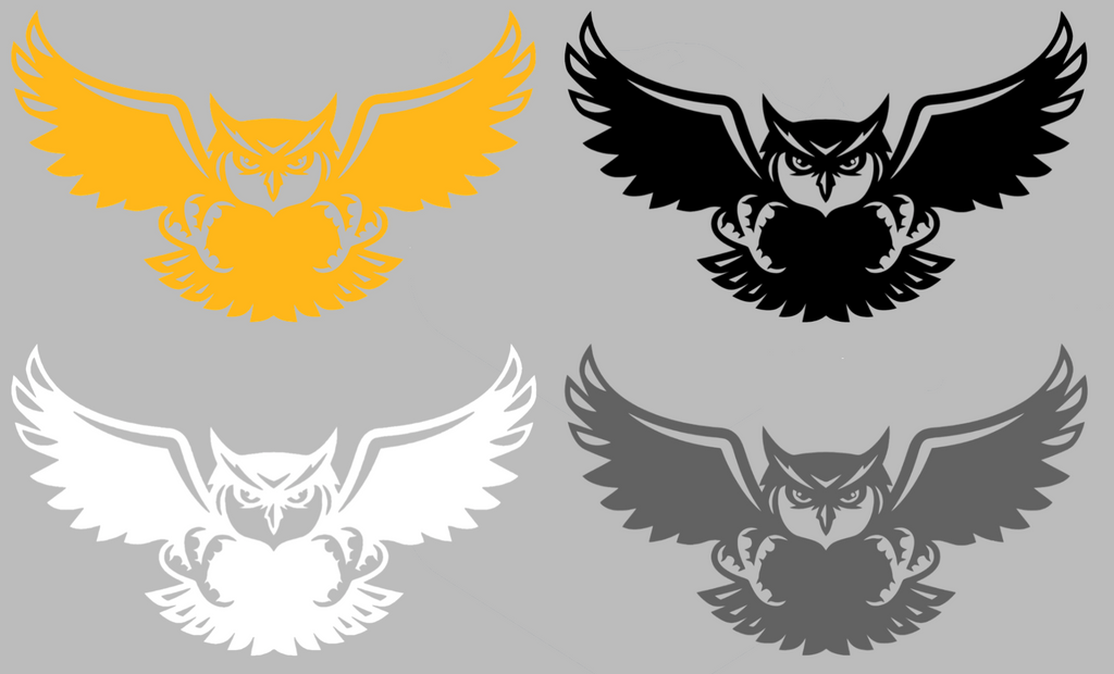 Kennesaw State Owls Mascot Logo Premium DieCut Vinyl Decal PICK COLOR & SIZE