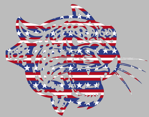 Lafayette Leopards Team Logo Stars & Stripes USA American Flag Vinyl Decal PICK SIZE