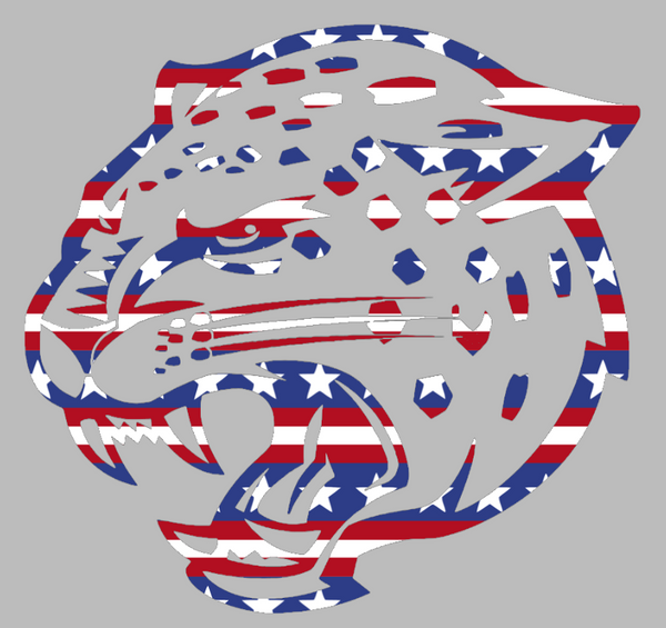IUPUI Jaguars Team Logo Stars & Stripes USA American Flag Vinyl Decal PICK SIZE
