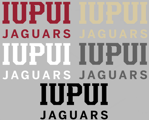 IUPUI Jaguars Team Name Logo Premium DieCut Vinyl Decal PICK COLOR & SIZE