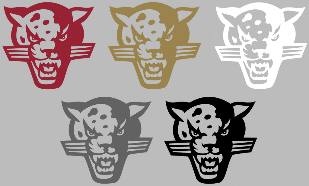 IUPUI Jaguars Retro Throwback Logo Premium DieCut Vinyl Decal PICK COLOR & SIZE