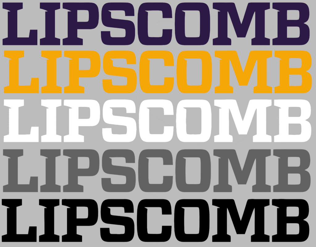 Lipscomb Bison Team Name Logo Premium DieCut Vinyl Decal PICK COLOR & SIZE