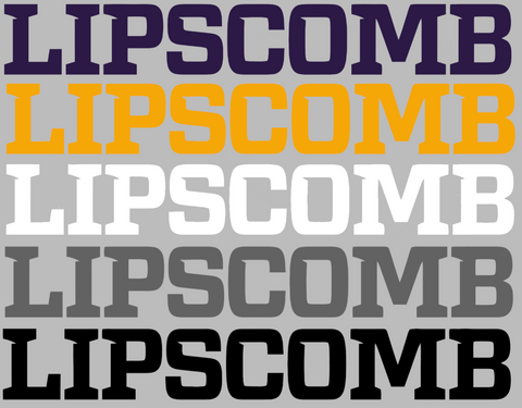 Lipscomb Bison Team Name Logo Premium DieCut Vinyl Decal PICK COLOR & SIZE