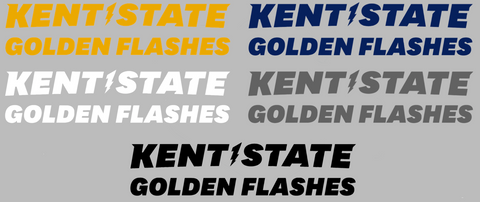 Kent State Golden Flashes Team Name Logo Premium DieCut Vinyl Decal PICK COLOR & SIZE