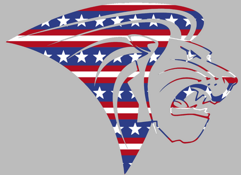 Lindenwood Lions Team Logo Stars & Stripes USA American Flag Vinyl Decal PICK SIZE