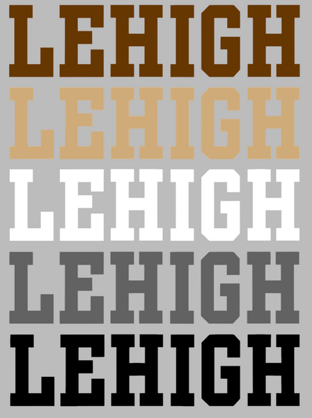 Lehigh Mountain Hawks Team Name Logo Premium DieCut Vinyl Decal PICK COLOR & SIZE