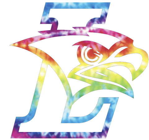 Lehigh Mountain Hawks Team Logo Crucial Catch Cancer Tie Dye Vinyl Decal PICK SIZE