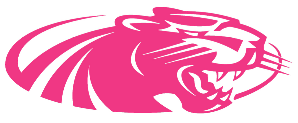 Wisconsin Milwaukee Panthers HOT PINK Team Logo Premium DieCut Vinyl Decal PICK SIZE