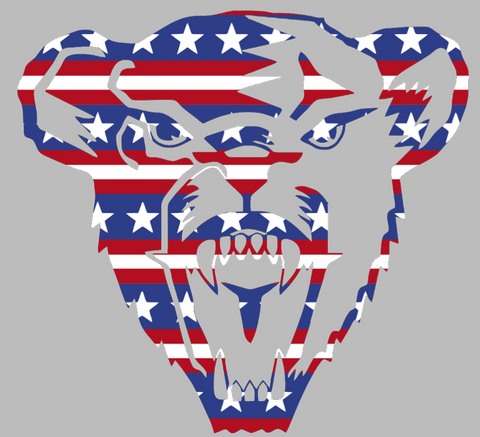 Maine Black Bears Team Logo Stars & Stripes USA American Flag Vinyl Decal PICK SIZE