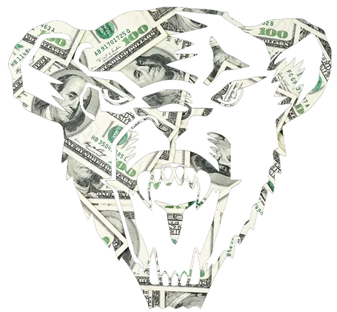 Maine Black Bears Team Logo Money Print Premium DieCut Vinyl Decal PICK SIZE