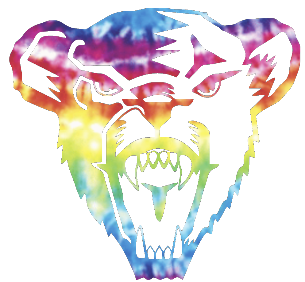 Maine Black Bears Team Logo Crucial Catch Cancer Tie Dye Vinyl Decal PICK SIZE