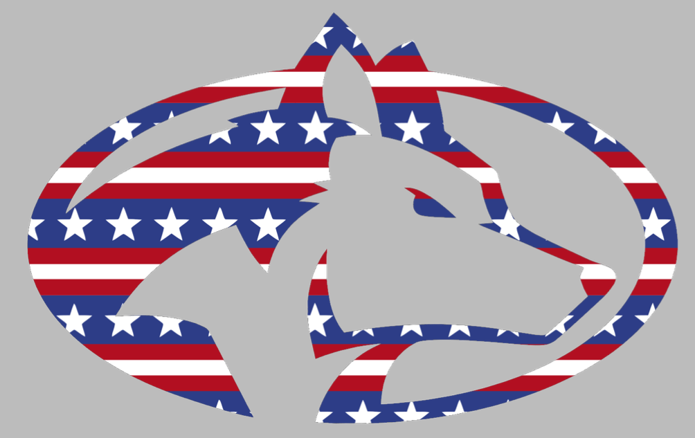 Michigan Tech Huskies Team Logo Stars & Stripes USA American Flag Vinyl Decal PICK SIZE