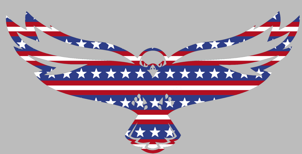 Maryland Eastern Shore Hawks Team Logo Stars & Stripes USA American Flag Vinyl Decal PICK SIZE