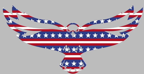 Maryland Eastern Shore Hawks Team Logo Stars & Stripes USA American Flag Vinyl Decal PICK SIZE