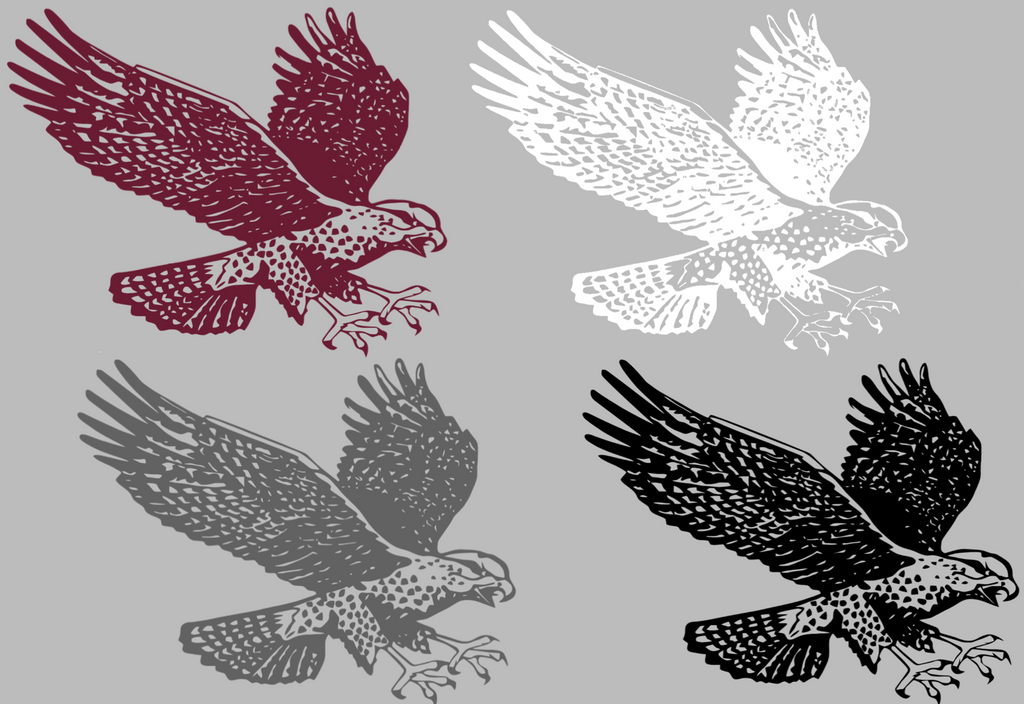 Maryland Eastern Shore Hawks Retro Throwback Logo Premium DieCut Vinyl Decal PICK COLOR & SIZE