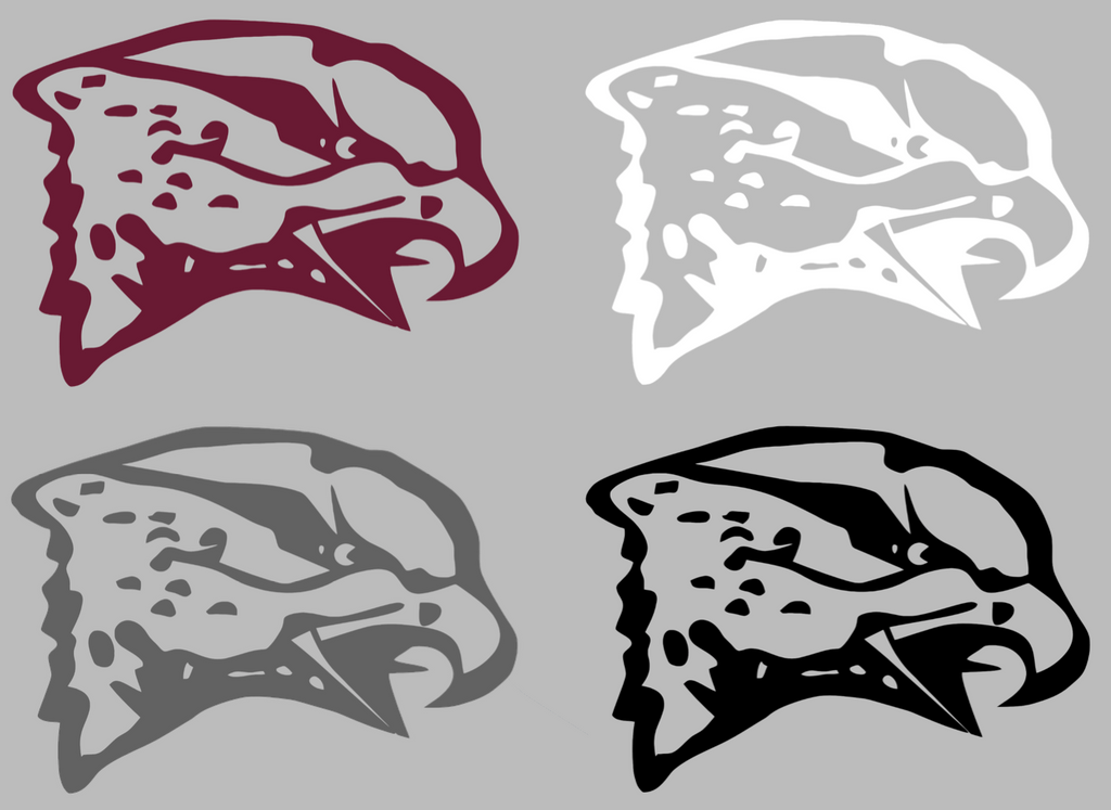 Maryland Eastern Shore Hawks Retro Throwback Logo Premium DieCut Vinyl Decal PICK COLOR & SIZE