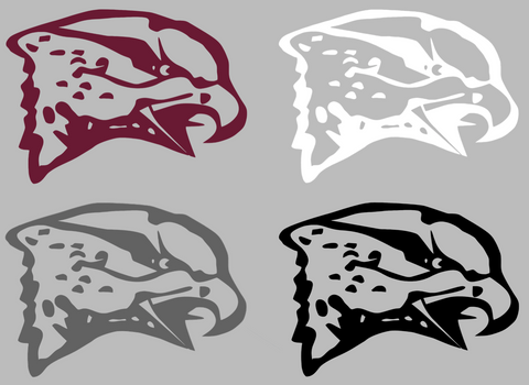 Maryland Eastern Shore Hawks Retro Throwback Logo Premium DieCut Vinyl Decal PICK COLOR & SIZE