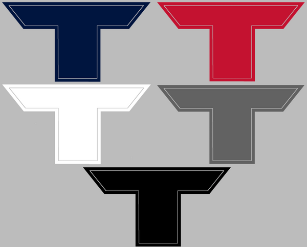 Houston Texans T Logo Premium DieCut Vinyl Decal PICK COLOR & SIZE