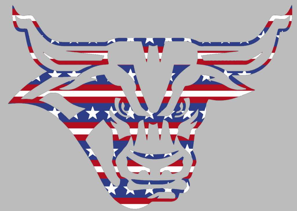 Minnesota State Mavericks Team Logo Stars & Stripes USA American Flag Vinyl Decal PICK SIZE