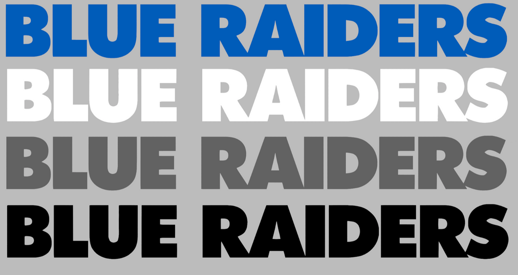 Middle Tennessee Blue Raiders Team Name Logo Premium DieCut Vinyl Decal PICK COLOR & SIZE