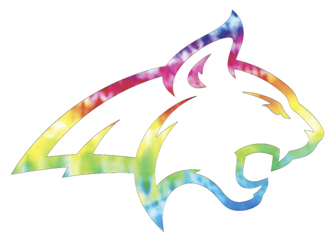 Montana State Bobcats Team Logo Crucial Catch Cancer Tie Dye Vinyl Decal PICK SIZE