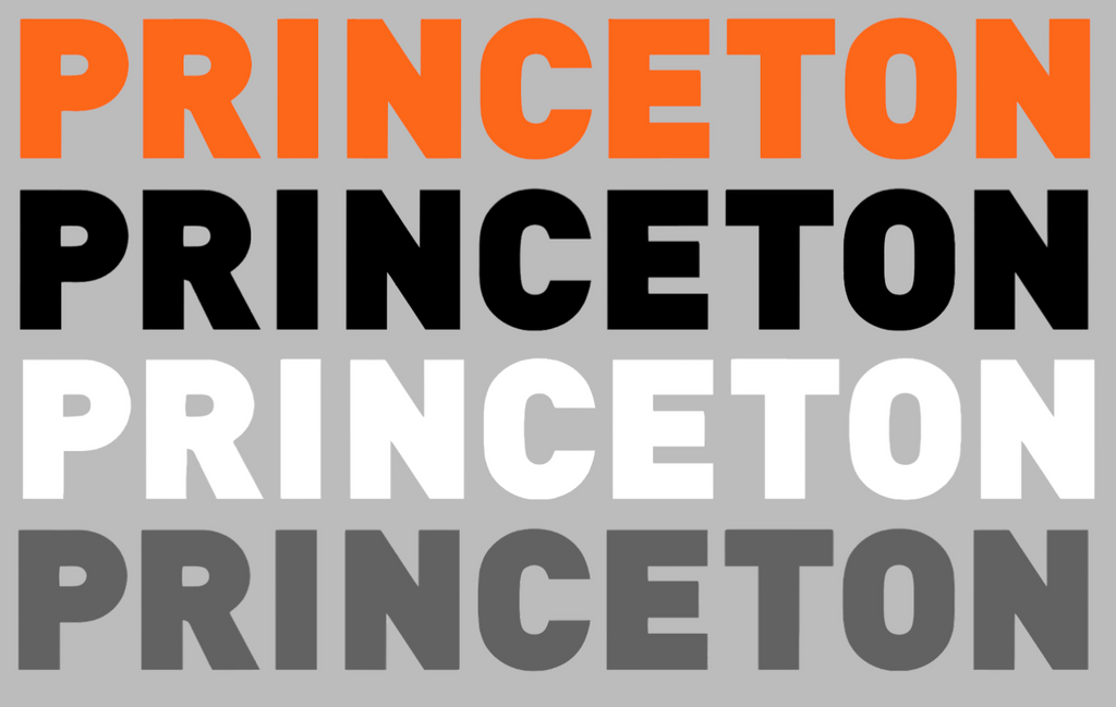 Princeton Tigers Team Name Logo Premium DieCut Vinyl Decal PICK COLOR & SIZE