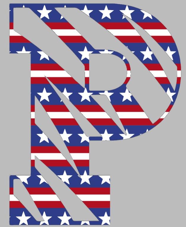 Princeton Tigers Team Logo Stars & Stripes USA American Flag Vinyl Decal PICK SIZE