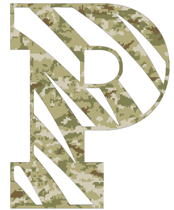 Princeton Tigers Team Logo Salute to Service Camouflage Camo Vinyl Decal PICK SIZE