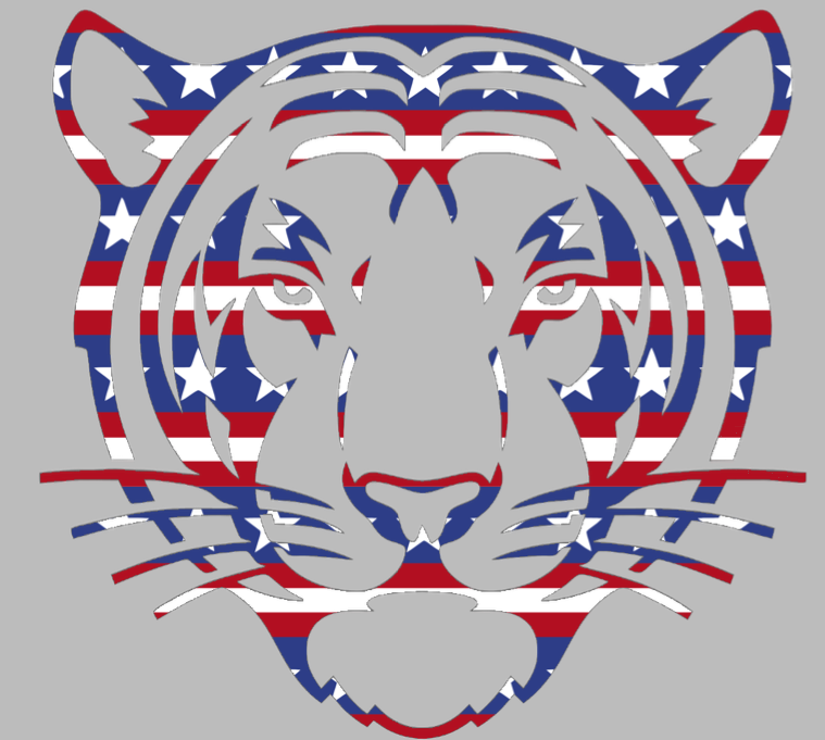 Princeton Tigers Mascot Logo Stars & Stripes USA American Flag Vinyl Decal PICK SIZE