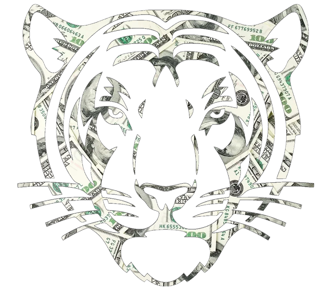 Princeton Tigers Mascot Logo Money Print Premium DieCut Vinyl Decal PICK SIZE