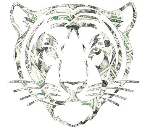 Princeton Tigers Mascot Logo Money Print Premium DieCut Vinyl Decal PICK SIZE