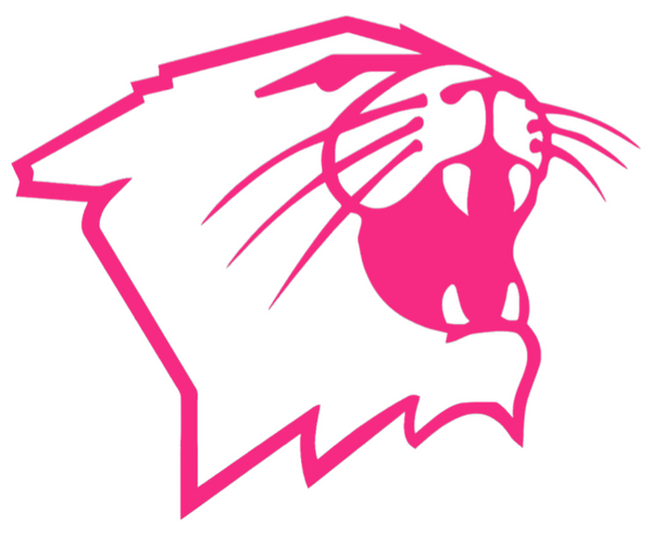 Northwestern Wildcats HOT PINK Mascot Logo Premium DieCut Vinyl Decal PICK SIZE