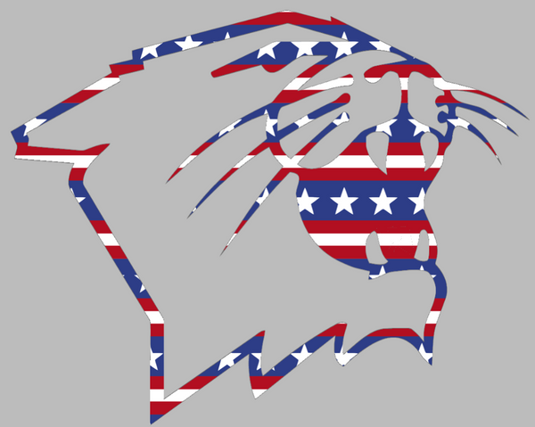 Northwestern Wildcats Mascot Logo Stars & Stripes USA American Flag Vinyl Decal PICK SIZE