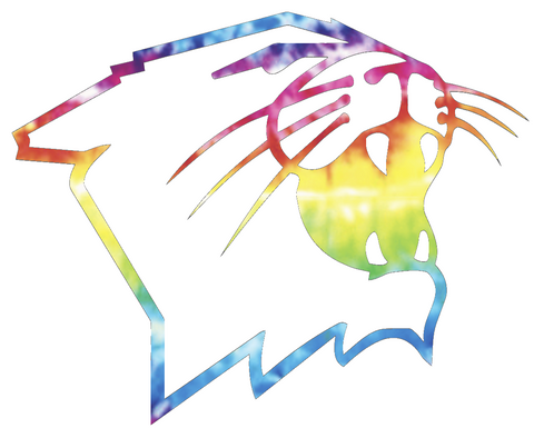 Northwestern Wildcats Mascot Logo Crucial Catch Cancer Tie Dye Vinyl Decal PICK SIZE