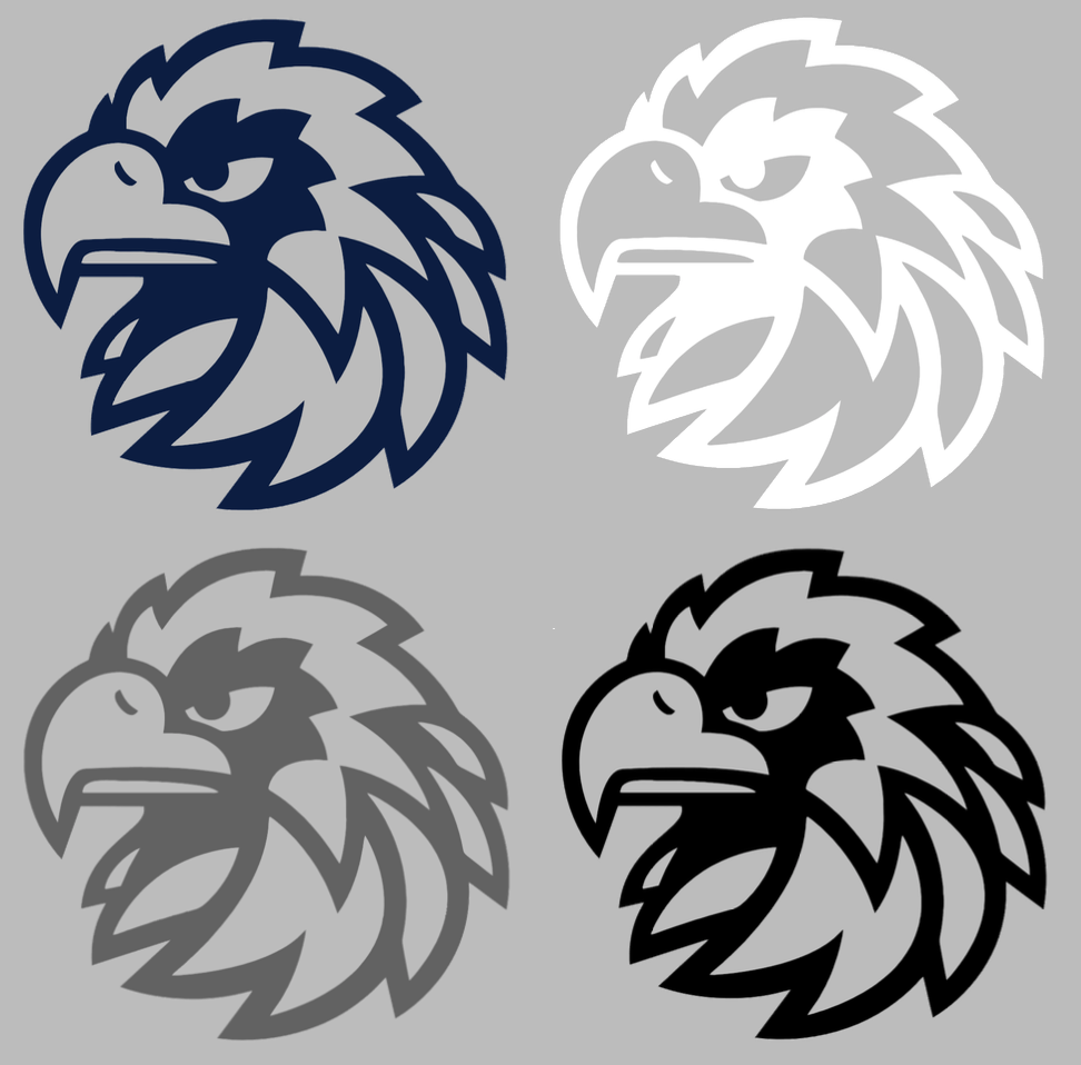 Monmouth Hawks Team Logo Premium DieCut Vinyl Decal PICK COLOR & SIZE