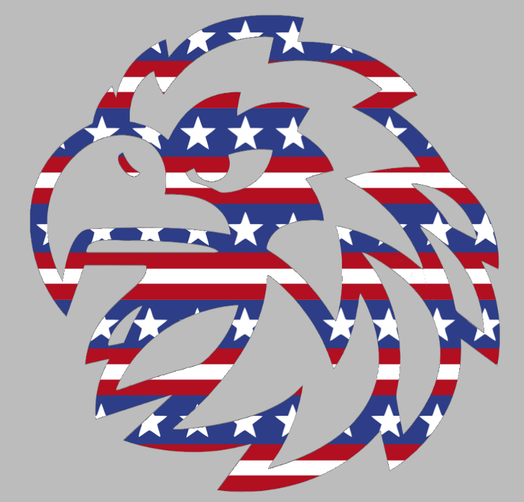 Monmouth Hawks Team Logo Stars & Stripes USA American Flag Vinyl Decal PICK SIZE