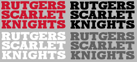 Rutgers Scarlet Knights Team Name Logo Premium DieCut Vinyl Decal PICK COLOR & SIZE