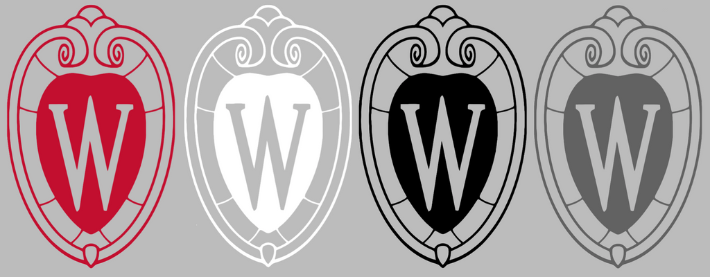 Wisconsin Badgers Crest Logo Premium DieCut Vinyl Decal PICK COLOR & SIZE
