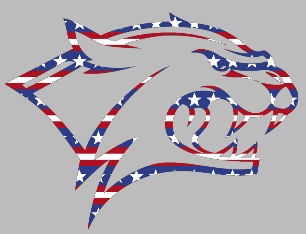 New Hampshire Wildcats Team Logo Stars & Stripes USA American Flag Vinyl Decal PICK SIZE