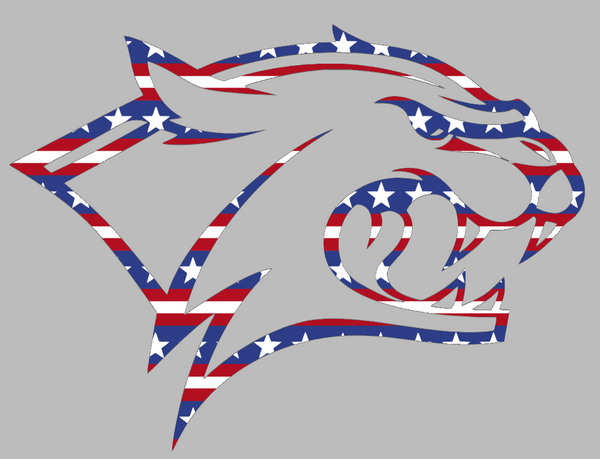 New Hampshire Wildcats Team Logo Stars & Stripes USA American Flag Vinyl Decal PICK SIZE