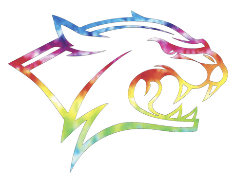 New Hampshire Wildcats Team Logo Crucial Catch Cancer Tie Dye Vinyl Decal PICK SIZE