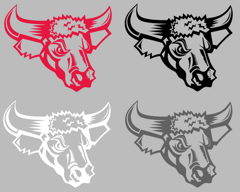 Nebraska Omaha Mavericks Retro Throwback Logo Premium DieCut Vinyl Decal PICK COLOR & SIZE