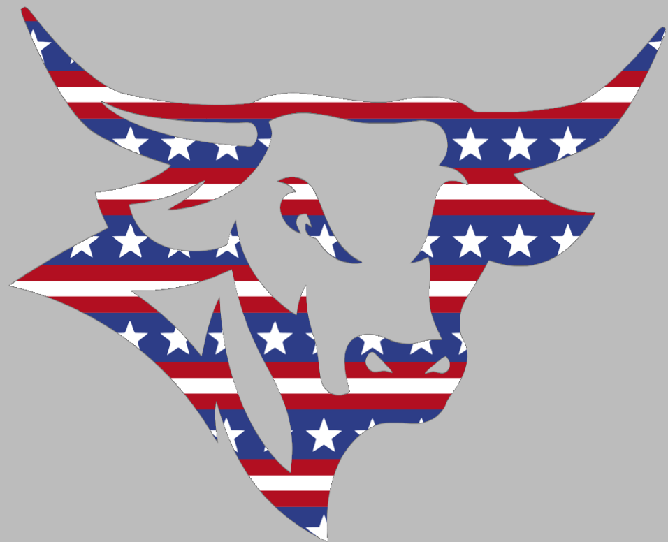 Nebraska Omaha Mavericks Mascot Logo Stars & Stripes USA American Flag Vinyl Decal PICK SIZE